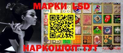 тгк Кингисепп