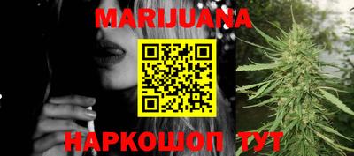тгк Кингисепп