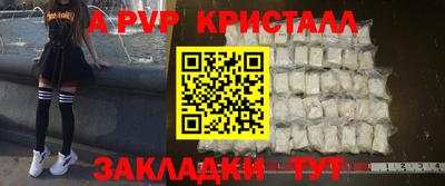 тгк Кингисепп