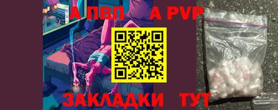 тгк Кингисепп