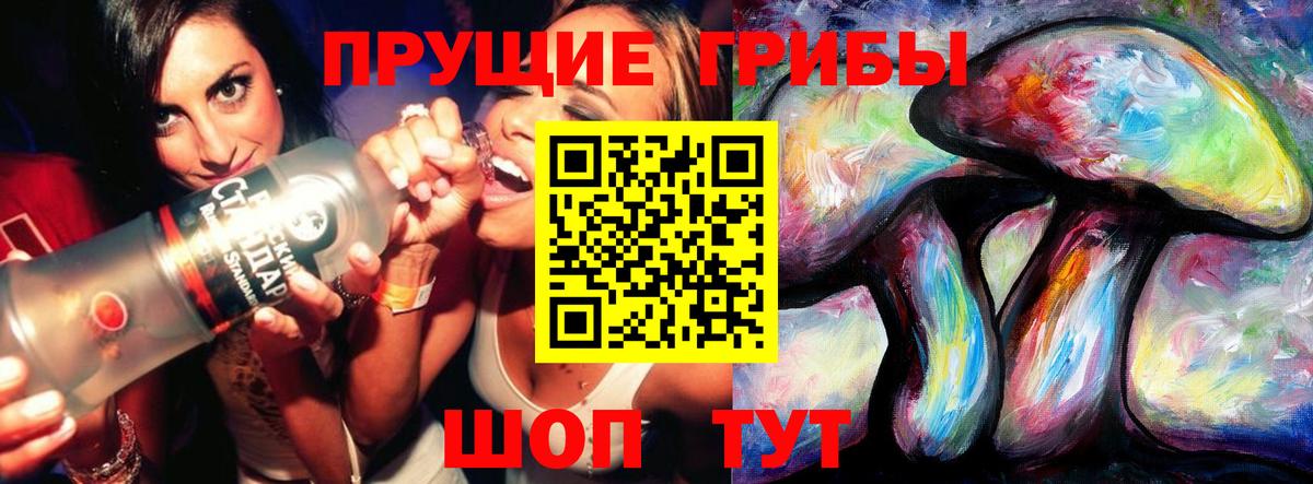 Дмитров  Псилоцибиновые грибы MAGIC MUSHROOMS  Вход с VPN 